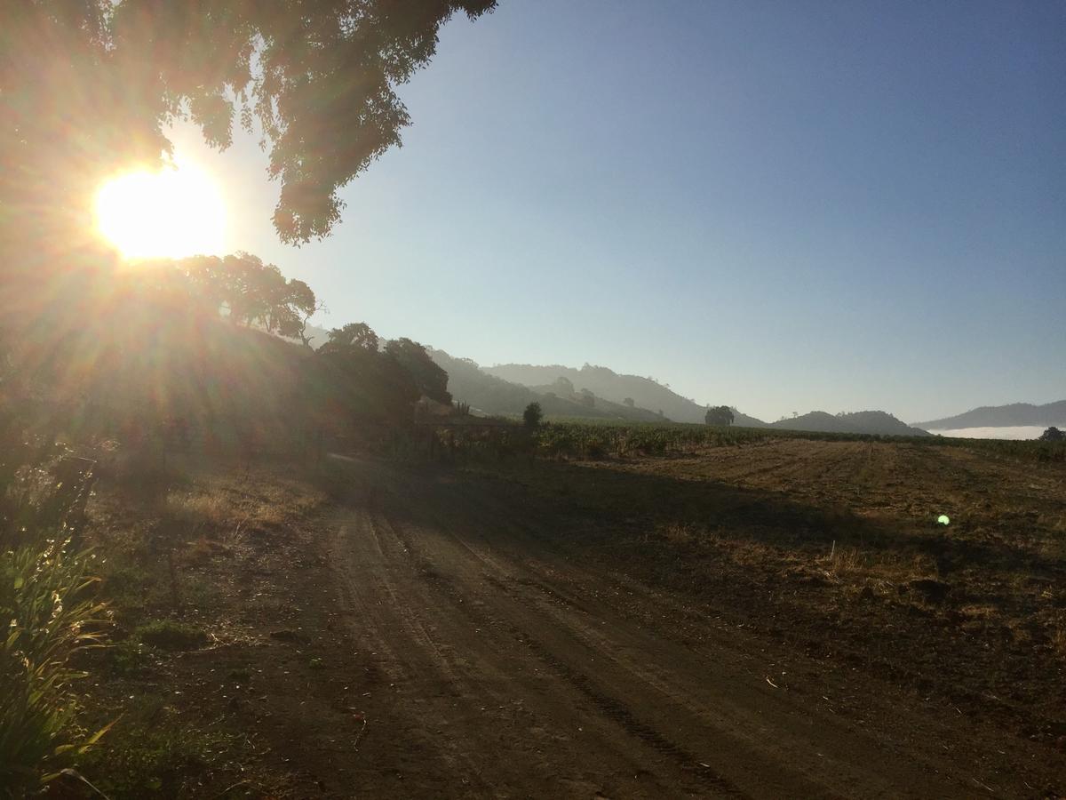 Rustridge Ranch & Winery Bed and Breakfast St. Helena Εξωτερικό φωτογραφία