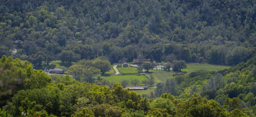Rustridge Ranch & Winery Bed and Breakfast St. Helena Εξωτερικό φωτογραφία