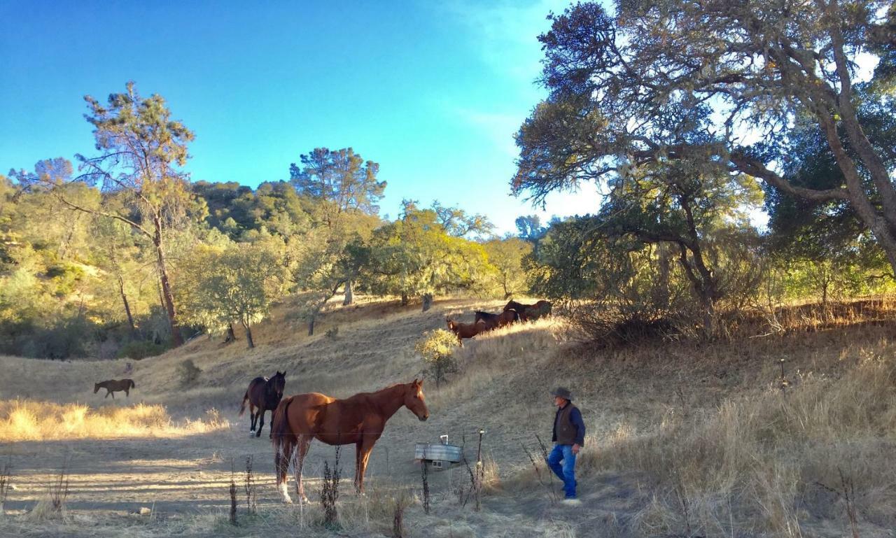 Rustridge Ranch & Winery Bed and Breakfast St. Helena Εξωτερικό φωτογραφία