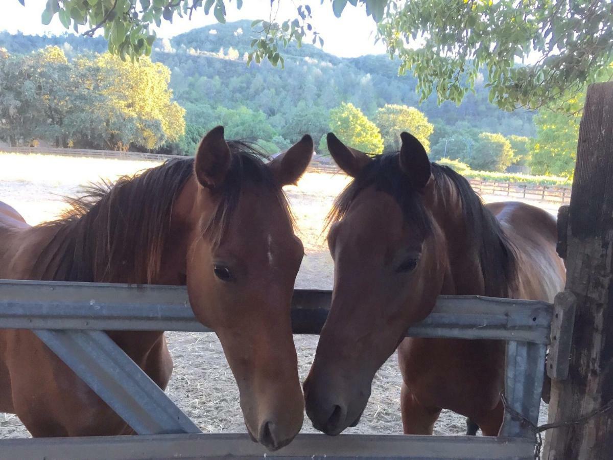 Rustridge Ranch & Winery Bed and Breakfast St. Helena Εξωτερικό φωτογραφία