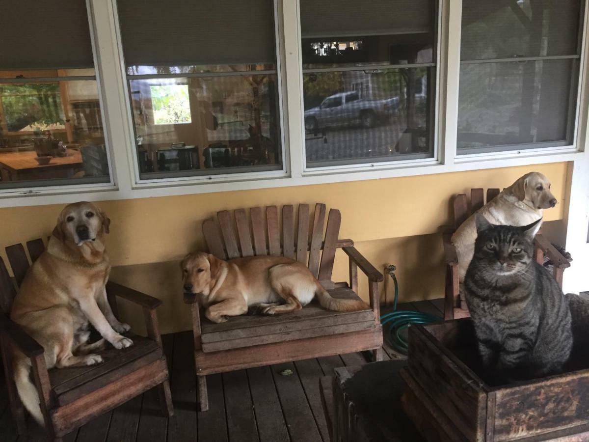 Rustridge Ranch & Winery Bed and Breakfast St. Helena Εξωτερικό φωτογραφία
