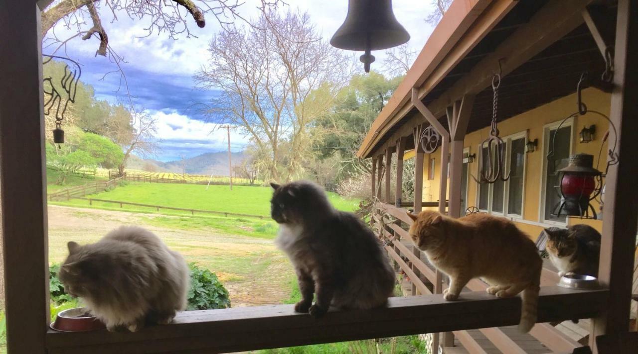Rustridge Ranch & Winery Bed and Breakfast St. Helena Εξωτερικό φωτογραφία