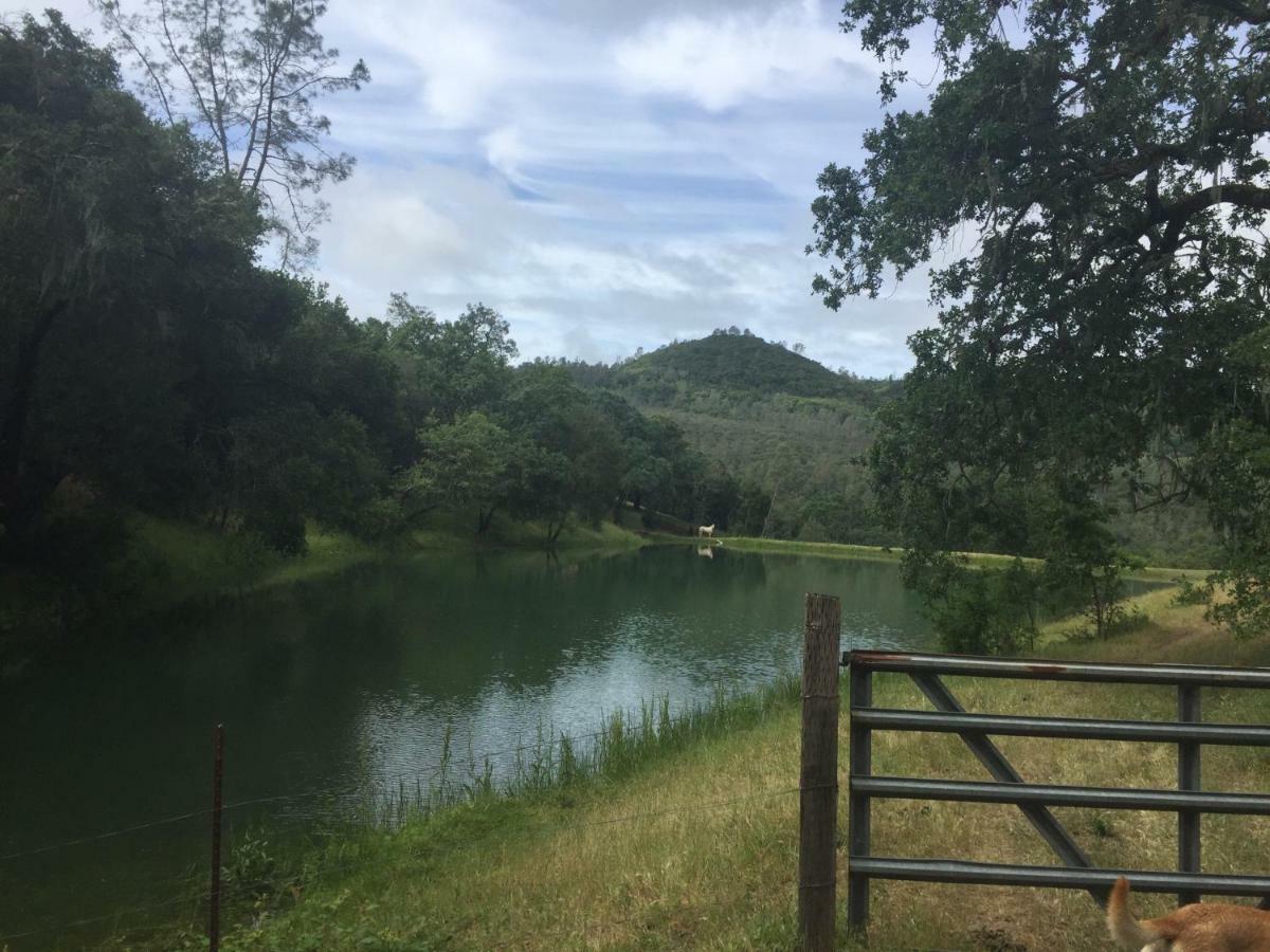 Rustridge Ranch & Winery Bed and Breakfast St. Helena Εξωτερικό φωτογραφία